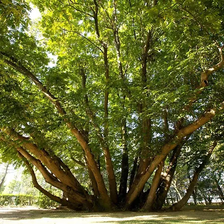 Relais Ormaneto 4* Cerea